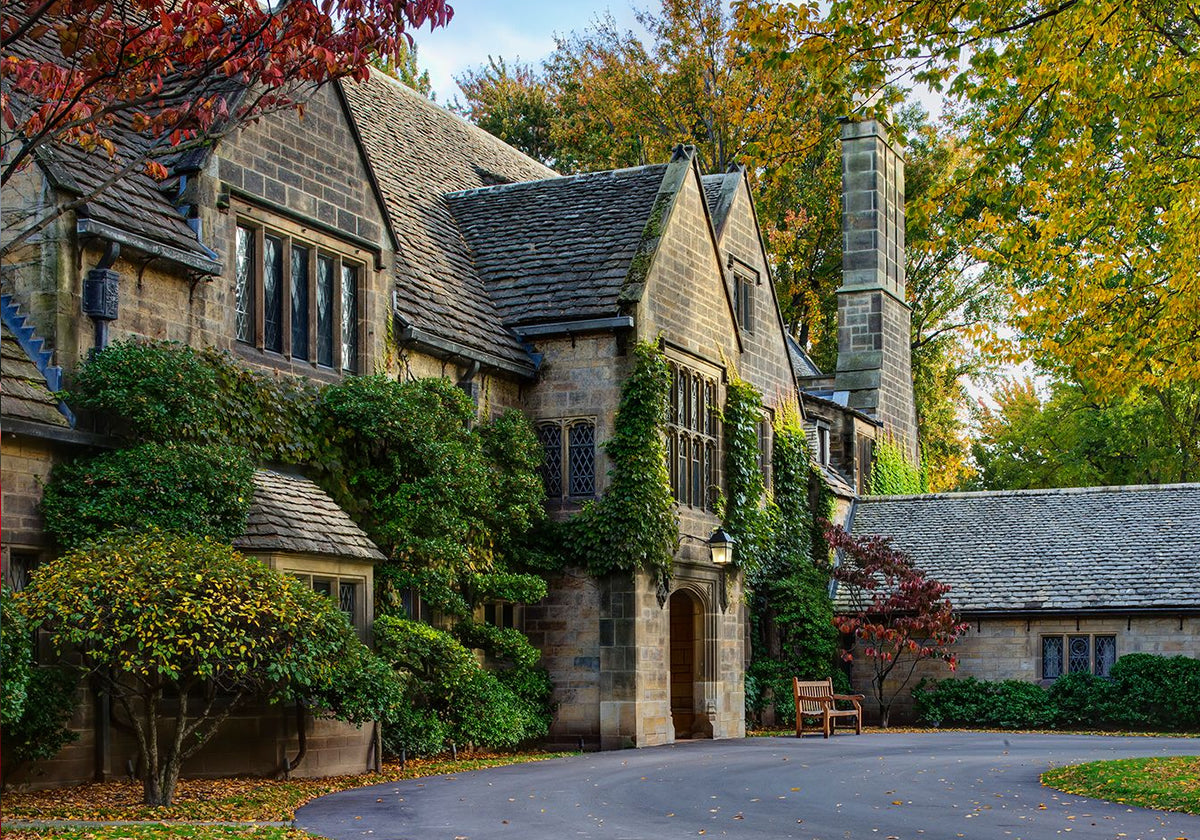 Discover Michigan