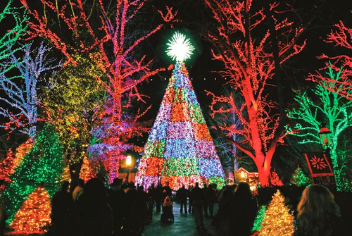 Christmas In Branson