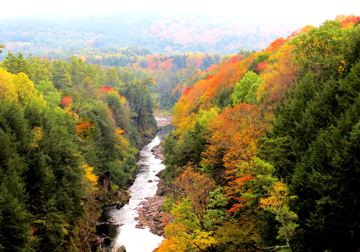 Fall In New England